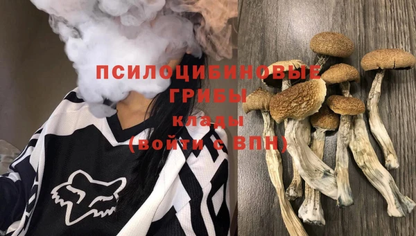 винт Белокуриха