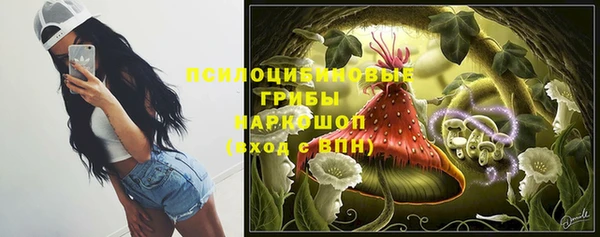 винт Белокуриха
