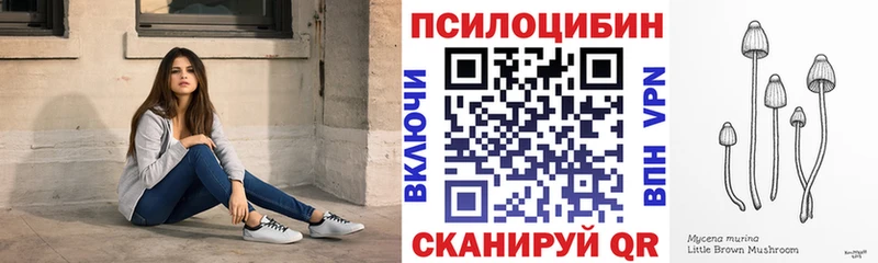 Галлюциногенные грибы Psilocybine cubensis  купить наркоту  Билибино 