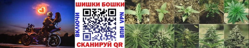 как найти закладки  Билибино  Конопля семена 